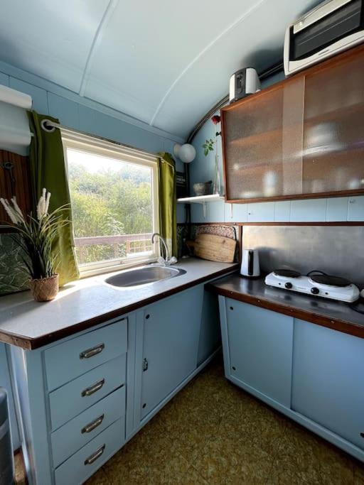 Апартаменти Fjordhytten. Rebuild Train Wagon From 1937. Оденсе Екстер'єр фото